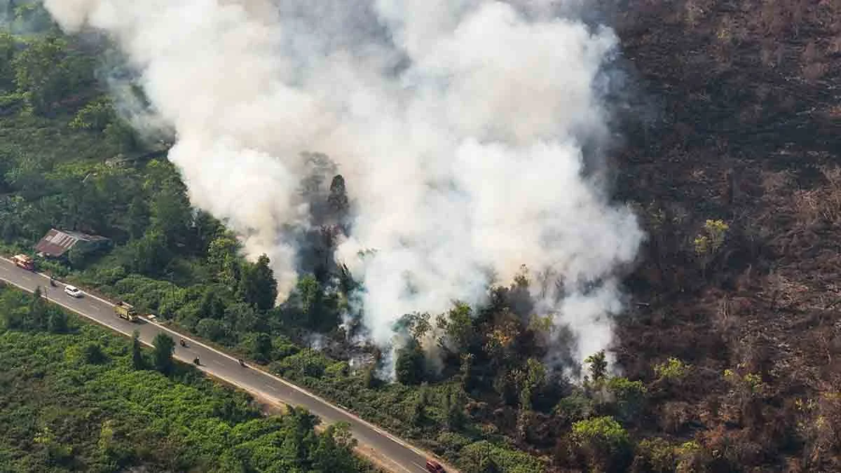 sebaran titik panas lebih mendominasi area pemukiman, lahan pertanian, serta kawasan aktivitas warga dibandingkan dalam kawasan hutan konservasi.