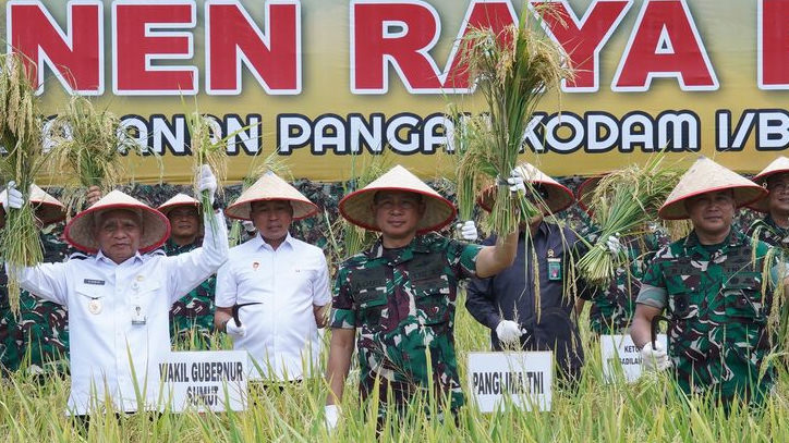 Dukung Program Ketahanan Pangan Nasional, Panglima TNI Panen Raya Padi Seluas 80 Hektar