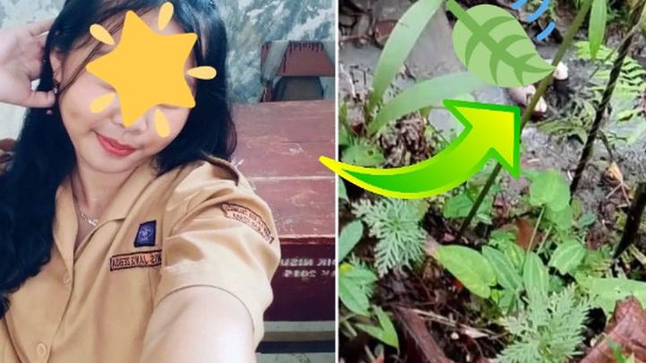 Saat Terakhir Siswi SMK Nias Utara Sebelum Tewas, Sempat Pulang Sekolah Bareng Adik Kandung