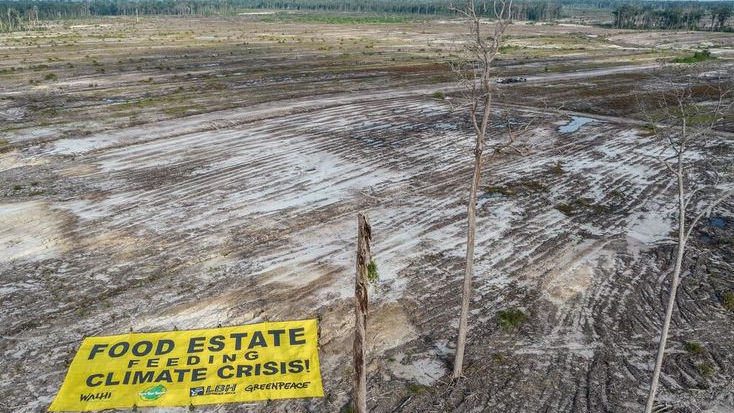 Anies Kritik Kegagalan Food Estate, Ini Faktanya!