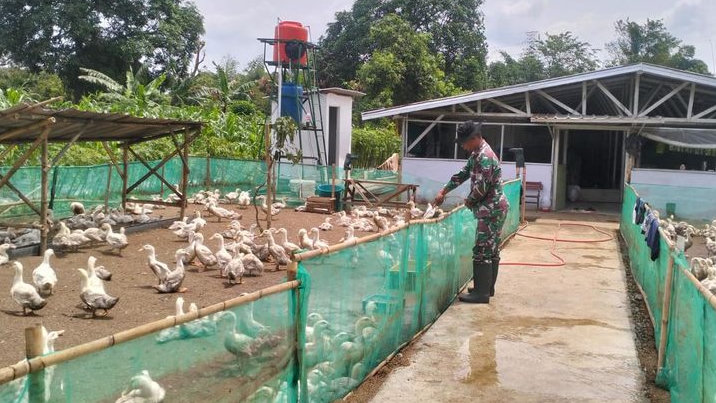Tiga Kali Panen Tembus Tonan, Bukti Nyata Program Ketahanan Pangan Kodim Karawang