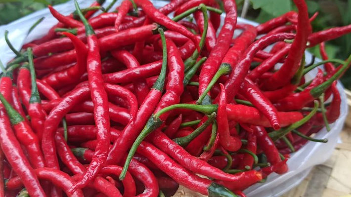 Harga Cabai Merah dan Daging Ayam Masih Fluktuatif, Ini Janji Pemko Medan