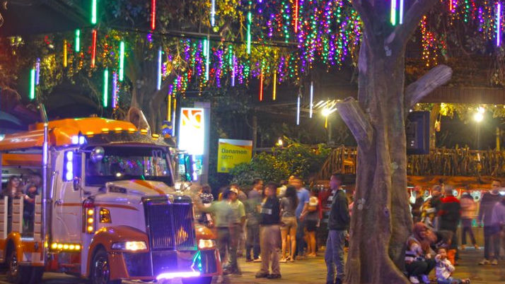 Safari Malam Kembali Dibuka di Taman Safari Bogor: Nikmati Pengalaman Wisata Nocturnal yang Seru!