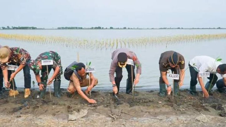 Kapolres Karawang Tanam Pohon Mangrove di Pantai Sedari