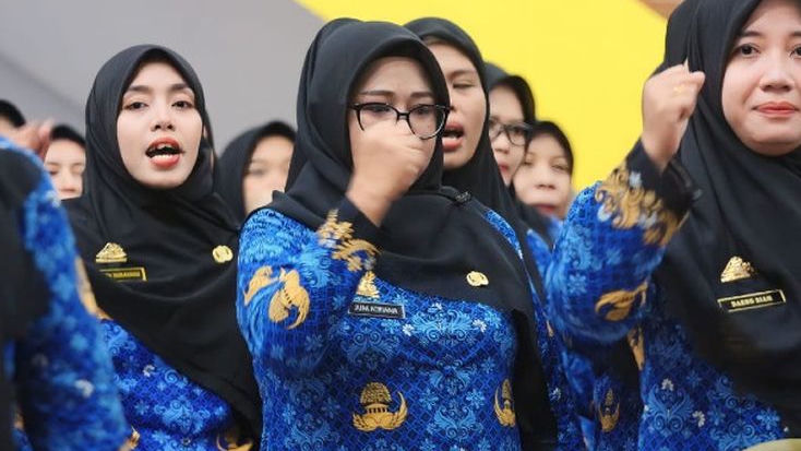 Jabatan Fungsional PPPK dari Tertinggi ke Terendah, Angka Kredit Serta Golongan dan Gaji P3K