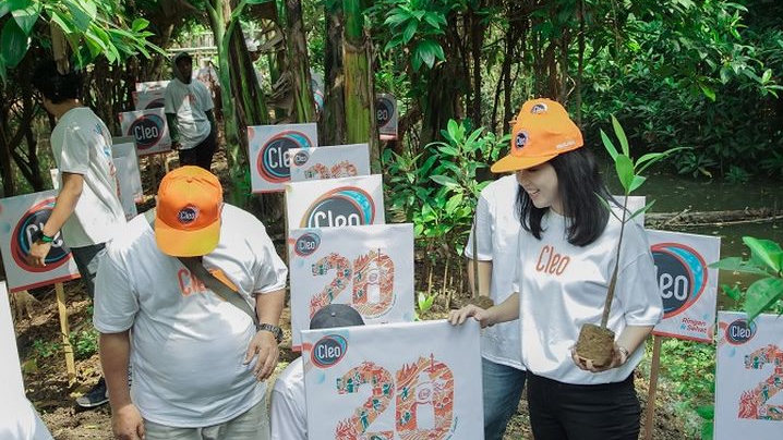 Cleo Tanam 20 Ribu Bibit Pohon Mangrove, Buktikan Komitmen Jaga Lingkungan Hidup