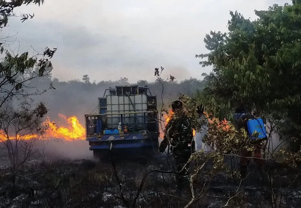 Taman Nasional Way Kambas Kebakaran.