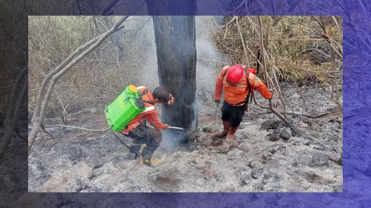Penanganan karhutla yang melanda kawasan Hutan Resort SPTN Wilayah I Kuningan, Taman Nasional Gunung Ciremai, Kabupaten Kuningan, Provinsi Jawa Barat (25/10).