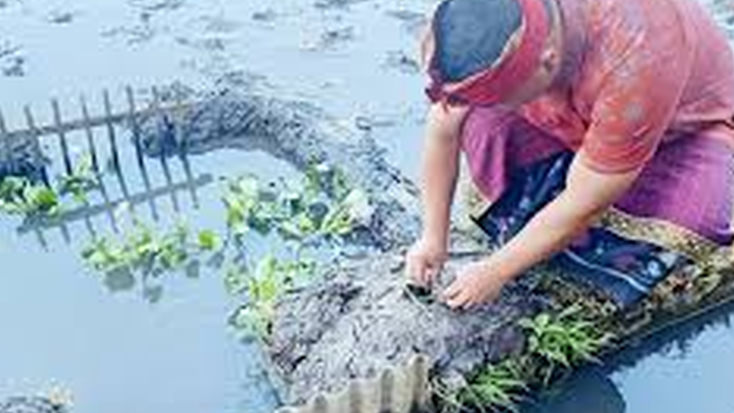 UNESCO Mempersembahkan Subak Bengkel Tabanan sebagai Model Ekohidrologi