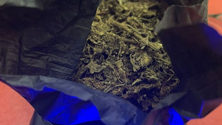 Tak Ada Jera, Klara Residivis Narkoba Kembali Diamankan Polres Madina