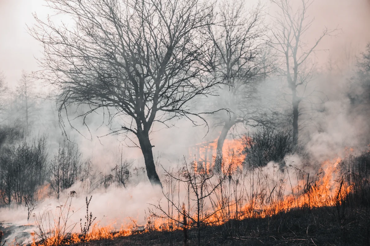 Peneliti Pusat Riset Iklim dan Atmosfer BRIN, mengatakan gas karbon monoksida dapat bertahan di atmosfer hingga sebulan