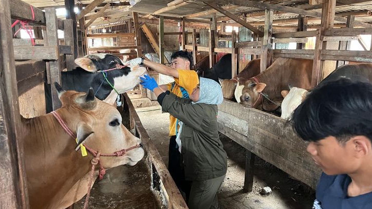Jelang Idul Adha, DKPP Kota Bandung Latih Penyembelih Kurban dan Siagakan 184 Pemeriksa Hewan