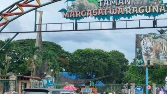 Libur Nataru, 30.000 Pengunjung  Datangi Taman Margasatwa Ragunan, Jam Operasional Diperpanjang