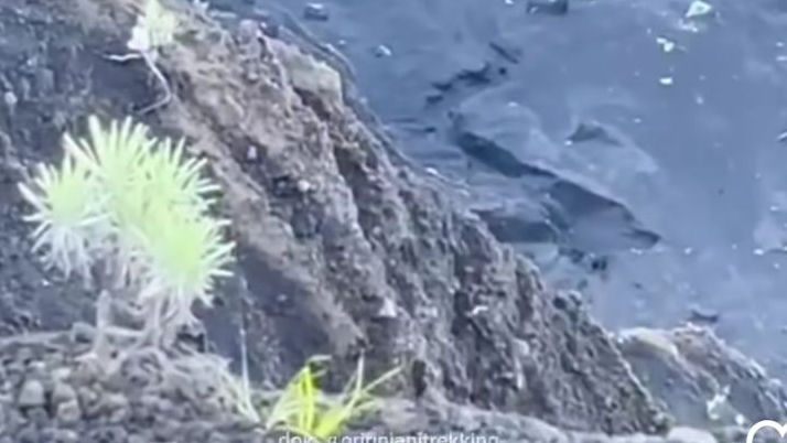 Pendaki Asal Brasil Jatuh di Gunung Rinjani, Petugas Sempat Kesulitan Evakuasi Korban
