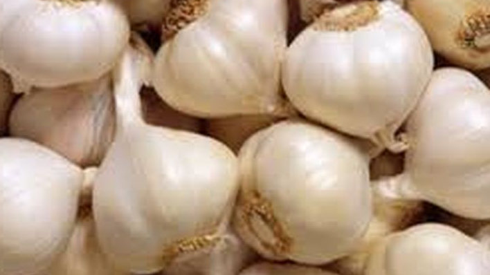 Siapa Sangka? Bawang Putih Ternyata Menyimpan Segudang Manfaat untuk Kesehatan dan Kecantikan!