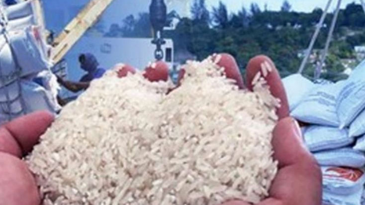 Tangani Krisis Pangan Dunia, Gerakan Pekarangan Pangan Lestara Jadi Solusinya