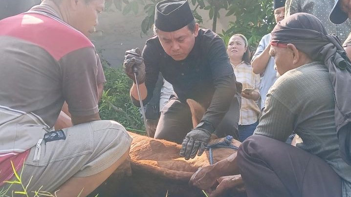 Ketua DPRD dan Warga Karawang Apresiasi Bantuan Sapi Kurban dari Presiden Prabowo