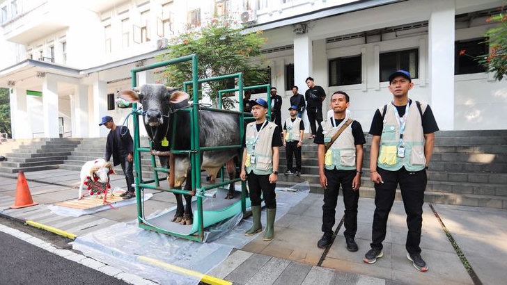 Wali Kota Bandung Turunkan 184 Petugas Periksa Hewan Kurban, PMK Jadi Sorotan