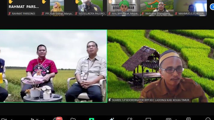 Kementan Percepat Swasembada Pangan, Genjot Kinerja Penyuluh Pertanian melalui LTT
