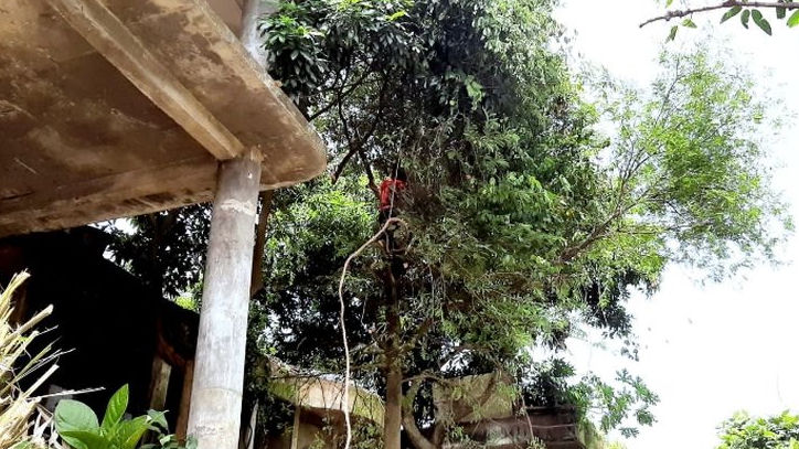 Viral Dokter di Karawang Buka Praktek di Rumah Mewah Kotor dan Tidak Terurus
