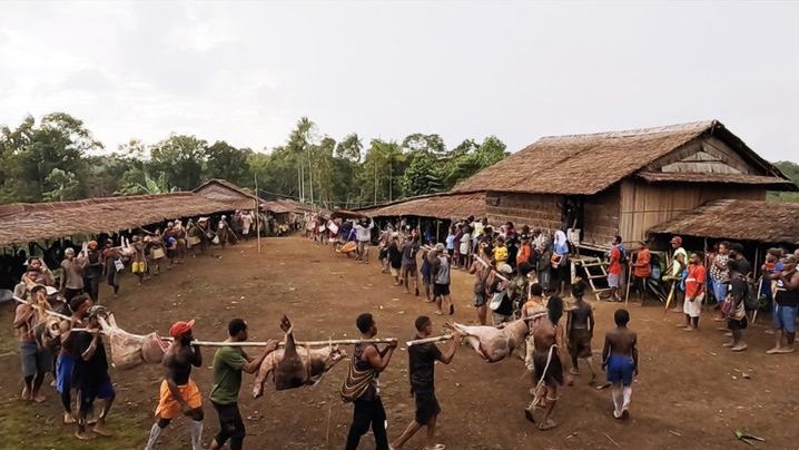 Cara Menonton Film Pesta Babi: Kolonialisme di Zaman Kita, Lengkap dengan Sinopsis dan Aturan Nobar