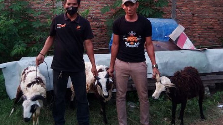 DAM Berbagi Hewan Kurban Pada Idul Adha 1444H