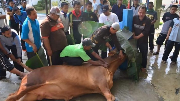 Orang Mampu tapi Tidak Berkurban Apakah Berdosa? Ini Penjelasan Hukum dan Pendapat Ulama