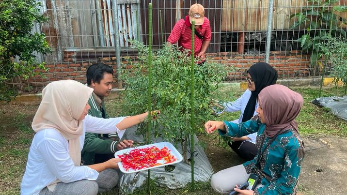 Pertamina Panen Hasil Urban Farming di Pondok Kopi, Warga Raup Manfaat Ekonomi