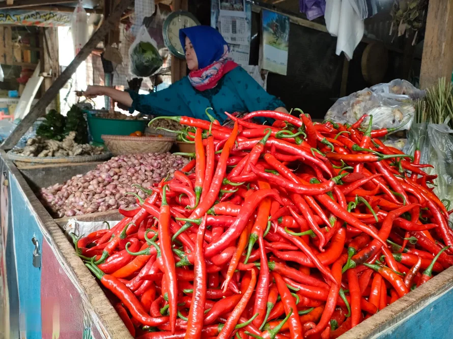 Harga cabai jadi perhatian jaga stabilitas harga pangan