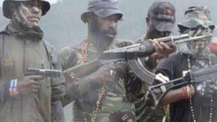 Tiga Separatis Papua Tewas Disergap TNI di Kampung Aluguru Nduga, Ini Kata Pangdam Cenderawasih