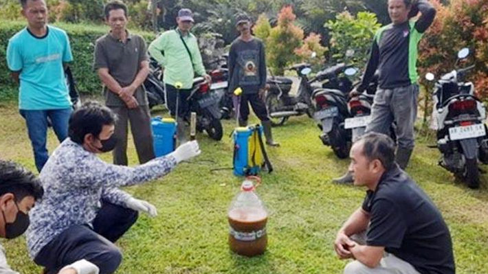 Dosen UGM Kembangkan Riset Protein Umpan, Tekan Lalat Buah di Sentra Salak Turi