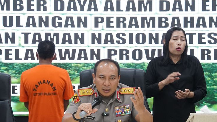 Polda Riau Tangkap Tokoh Adat yang Komersialkan Taman Nasional Tesso Nilo