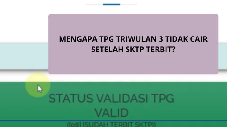 Guru Sudah Punya SKTP, tapi Dana TPG Tak Kunjung Masuk, Ini Penyebabnya