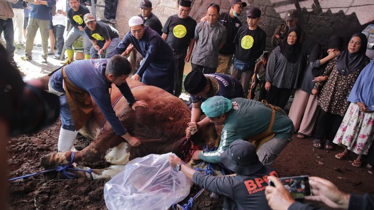 Sapi Kurban Bantuan Presiden Prabowo Disembelih di Dayeuhkolot, Warga Sebut Jadi Momen Bersejarah