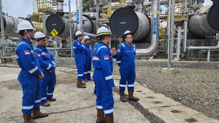 Percepat Transisi Energi, Perusahaan Listrik Negara Genjot Pembangkit Energi Hijau