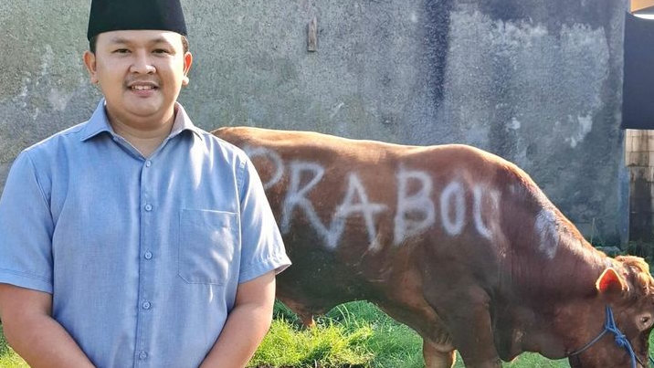 Sempat Dikira Hoaks, Tokoh Plawad Karawang Merinding Terima Sapi Kurban 800 Kg dari Presiden Prabowo