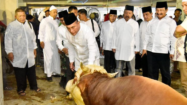Sebar 150 Ekor Sapi Kurban, Gubernur Edy Rahmayadi Berharap Konsumsi Daging Meningkat di Sumut