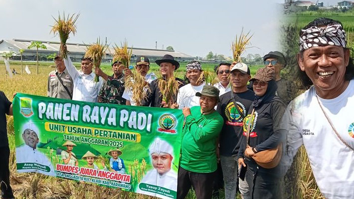 Panen Raya di Anggadita, Kades Ayah Roy Turun Langsung ke Sawah