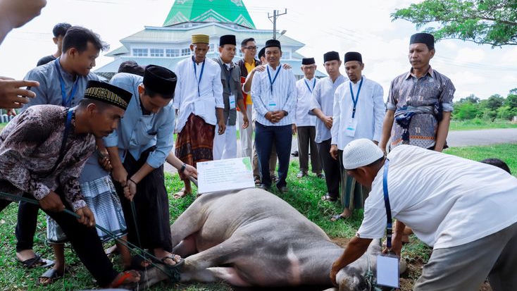Hewan Kurban yang Sah Menurut Syariat, Ini Ciri Layak dan Tidak Layak untuk Idul Adha