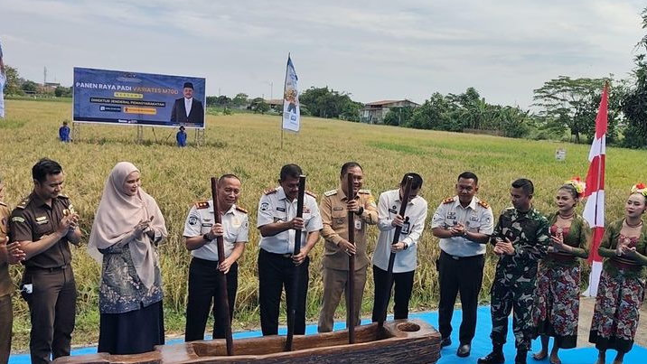 Dandim Karawang Bareng Dirjen Pas Panen Raya Padi M70D di Lapas