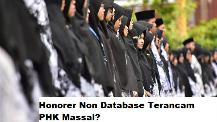 Terancam PHK Massal, Honorer Non-Database Desak Intervensi Presiden