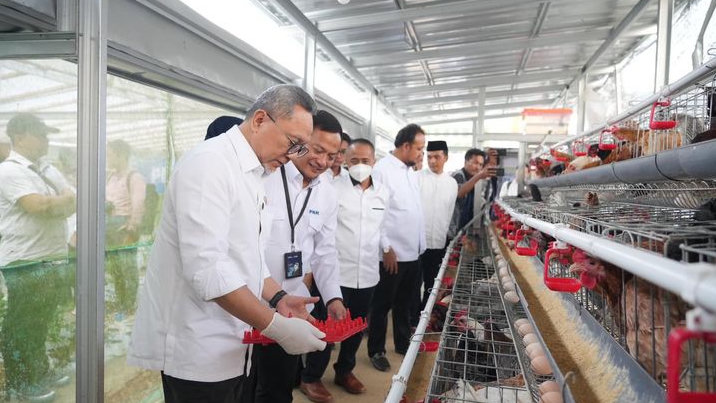 Menko Pangan RI Panen Brokoli hingga Ayam Petelur di Rumah Pangan PNM
