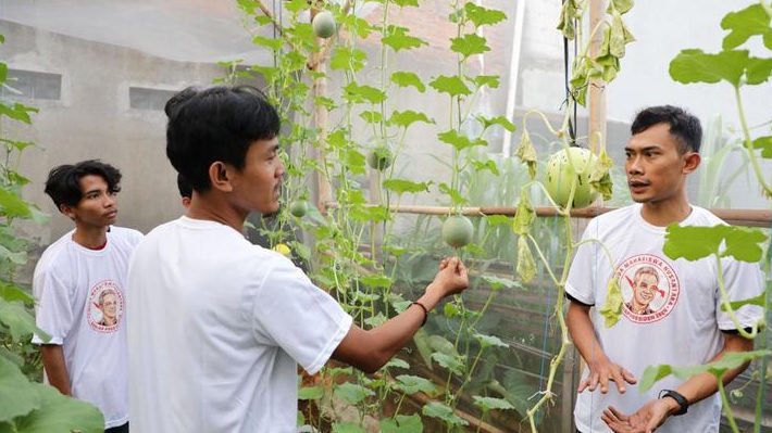 Ajak Milenial Tangerang Bertani, PMN Gelar Pelatihan Budidaya Tanaman Melon di Perkotaan