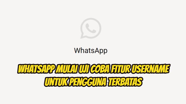 WhatsApp Resmi Rilis Fitur Kirim Pesan Tanpa Nomor Telepon, Begini Cara Cek Akunmu!