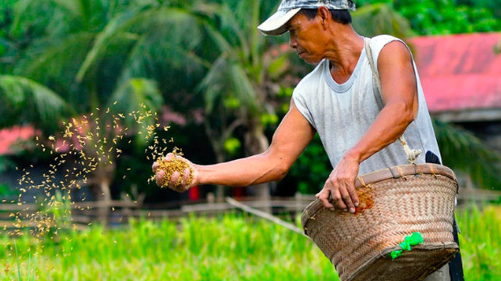 Dampak El Nino, BI NTT : Sektor Pertanian di Musim Tanam Terkontraksi
