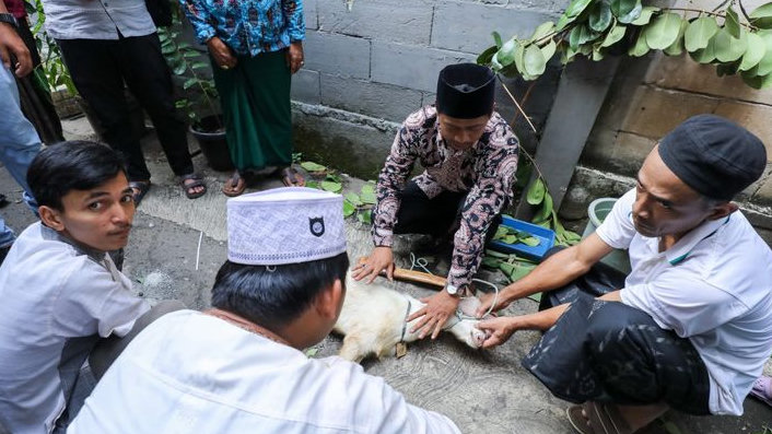 Jelang Iduladha, Santri Ganjar Gelar Pelatihan Penyembelihan Hewan di Jaksel
