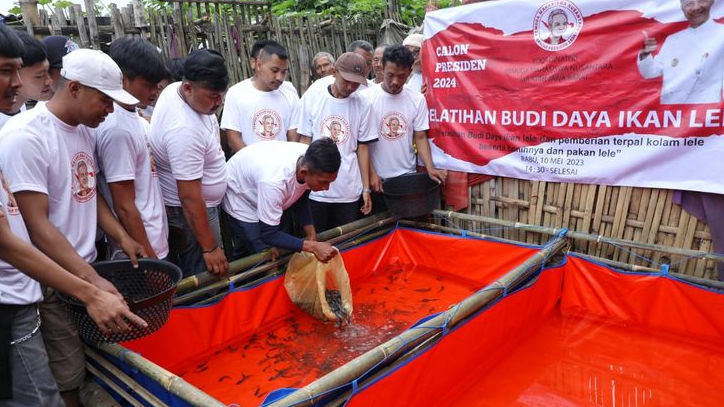 Ciptakan Lapangan Pekerjaan, PMN Dukung Ganjar Gelar Pelatihan Budi Daya Ikan Lele di Kabupaten Bandung