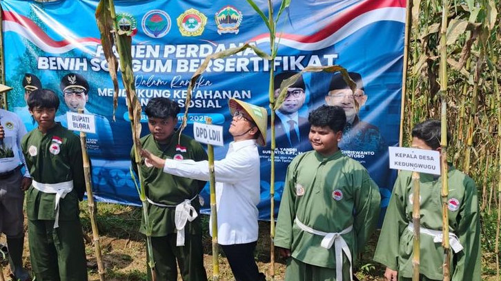 Daerah Blora Bakal Disulap Jadi Pusat Pengembangan Sorgum Nasional