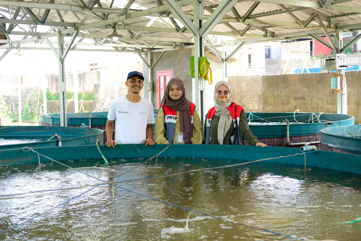 Pertamina dan generasi muda Sukanagara Tasikmalaya mengembangkan pertanian terpadu.