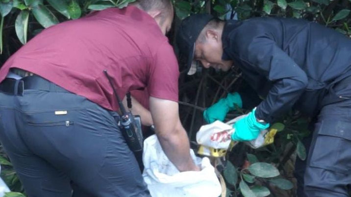 Sampah Berserakan di Hutan Mangrove Jakut, Irjen Karyoto Ingatkan Bahaya Abrasi Bagi Warga Jakarta